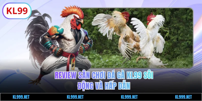 Review sân chơi đá gà KL99 sôi động
